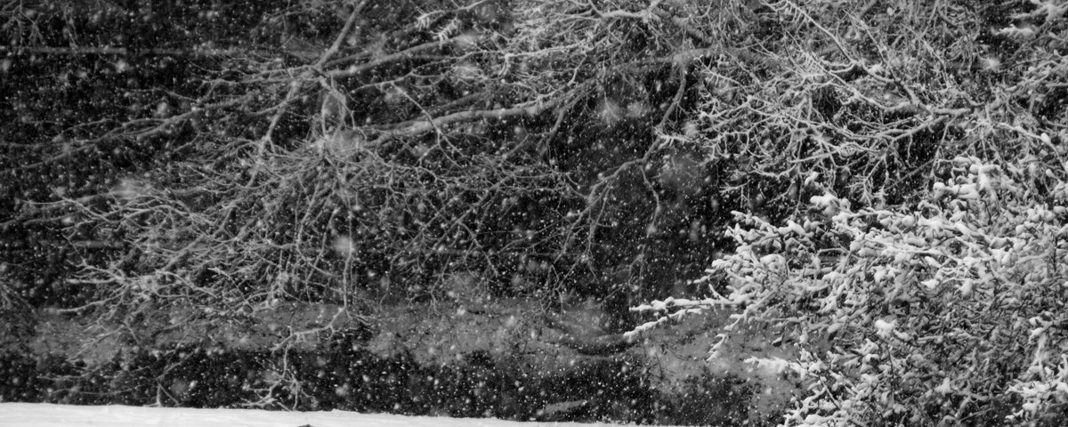 Announcing our Winter Creative Competition! This year we want your creative responses to the theme SNOWSTORM: our guest judges are the brilliant @research_artist
and <a href="/KHBK/">Katrina Keefer</a>!

Find our more at:
exilian.co.uk/forum/index.ph…