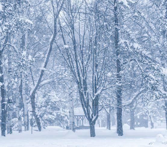 ────────────────

❝ 𝘠𝘰𝘶 𝘢𝘳𝘦 𝘮𝘦, 𝘢𝘯𝘥 𝘺𝘰𝘶 𝘢𝘳𝘦 𝘢𝘭𝘴𝘰 𝘮𝘦. 𝘐 𝘤𝘢𝘯'𝘵 𝘨𝘰 𝘣𝘢𝘤𝘬 𝘵𝘰 𝘣𝘦𝘪𝘯𝘨 𝘰𝘯 𝘮𝘺 𝘰𝘸𝘯. ❞ 

────────────────

           [     RT   +   ♡  !   ]