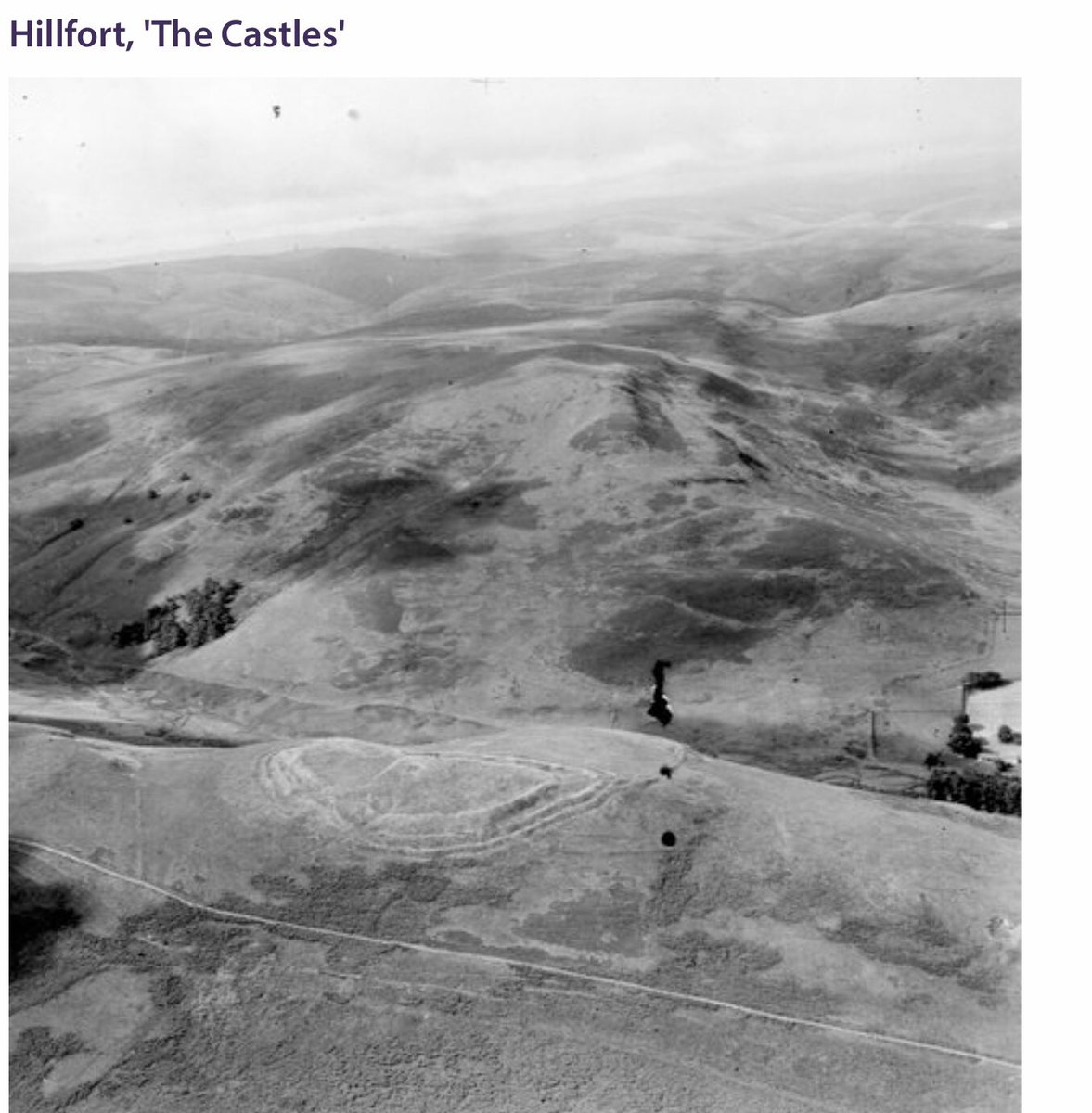 silverhills64's tweet photo. A tucked away offering - The Castles or Calroust Fort a #univallate summit and a #multivallate enclosure near Morebattle. With 14 house platforms and 1 ring-groove house, up to 3 #ramparts #counterscarpbank and 2 #ditches it has been heavily robbed #HillfortsWednesday https://t.co/vyD8ksOIOw