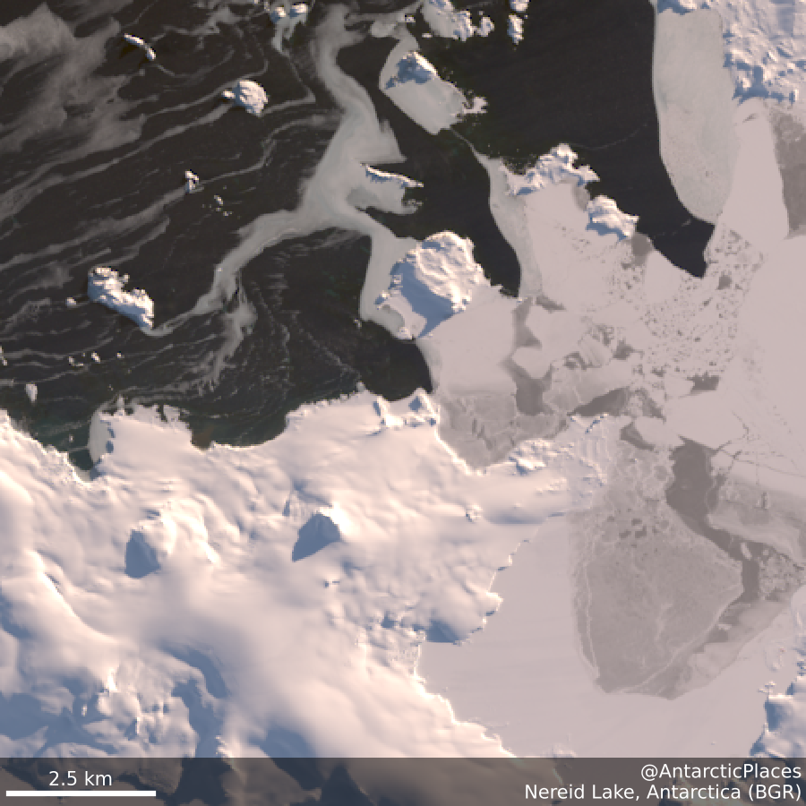 AntarcticPlaces's tweet photo. 🌊Nereid Lake 62s 60ᴡ
The trapezoidal lake 450 m long in WSW-ENE direction and 90 m wide in the eastern part of Flamingo Beach on the N coast of Greenwich Island in the South Shetland Islands.  Surface area 3.8 ha.  Separated⋯
💾https://t.co/PIkrkrEHt9
🛰https://t.co/n5tRSM3zuy https://t.co/j73NHNlTxP