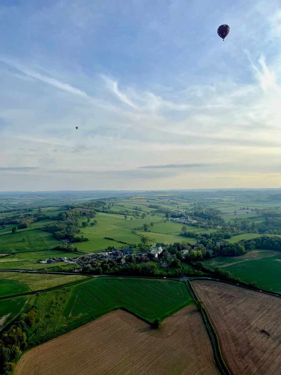 Bailey Balloons tweet media