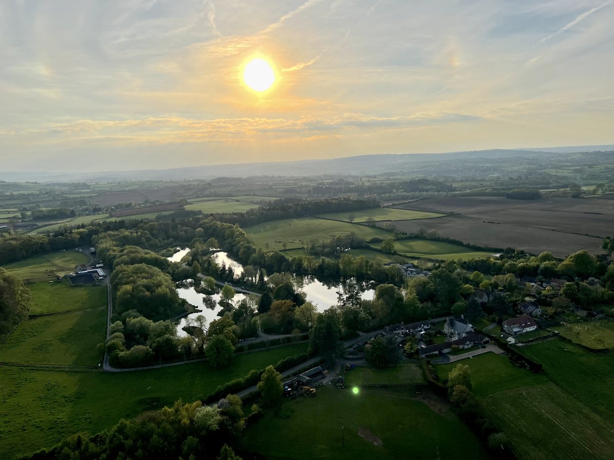 Bailey Balloons tweet media