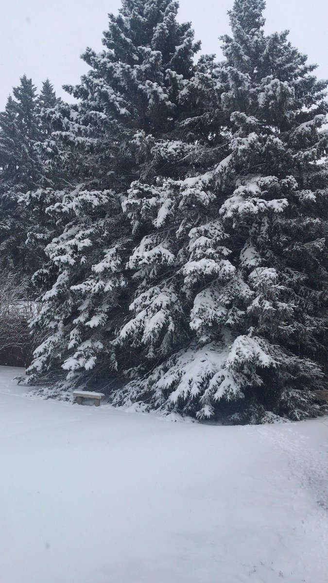 Turning into a winter wonderland ❄️