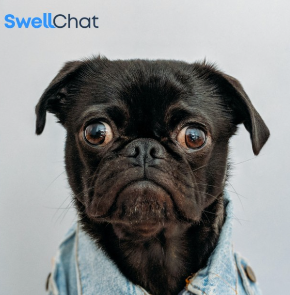 Eye Contact = More Sales. 

Try SwellChat free for 30 days and increase your sales with video conferencing. hubs.li/Q01vRQXb0

#sales #videoconferencing