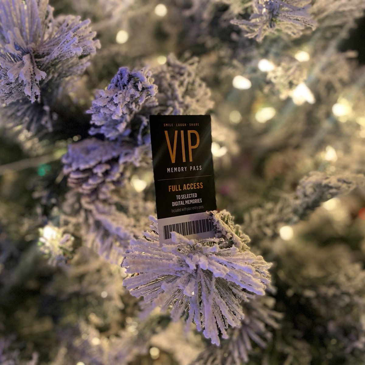 12 DAYS OF GIVEAWAYS – DAY 5

Win the magic of memories for your next visit to SEA LIFE Grapevine! This VIP Memory Pass is up for grabs for todays giveaway! 

Go check out todays giveaway over on Facebook (SEA LIFE Aquarium (Dallas / Fort Worth)