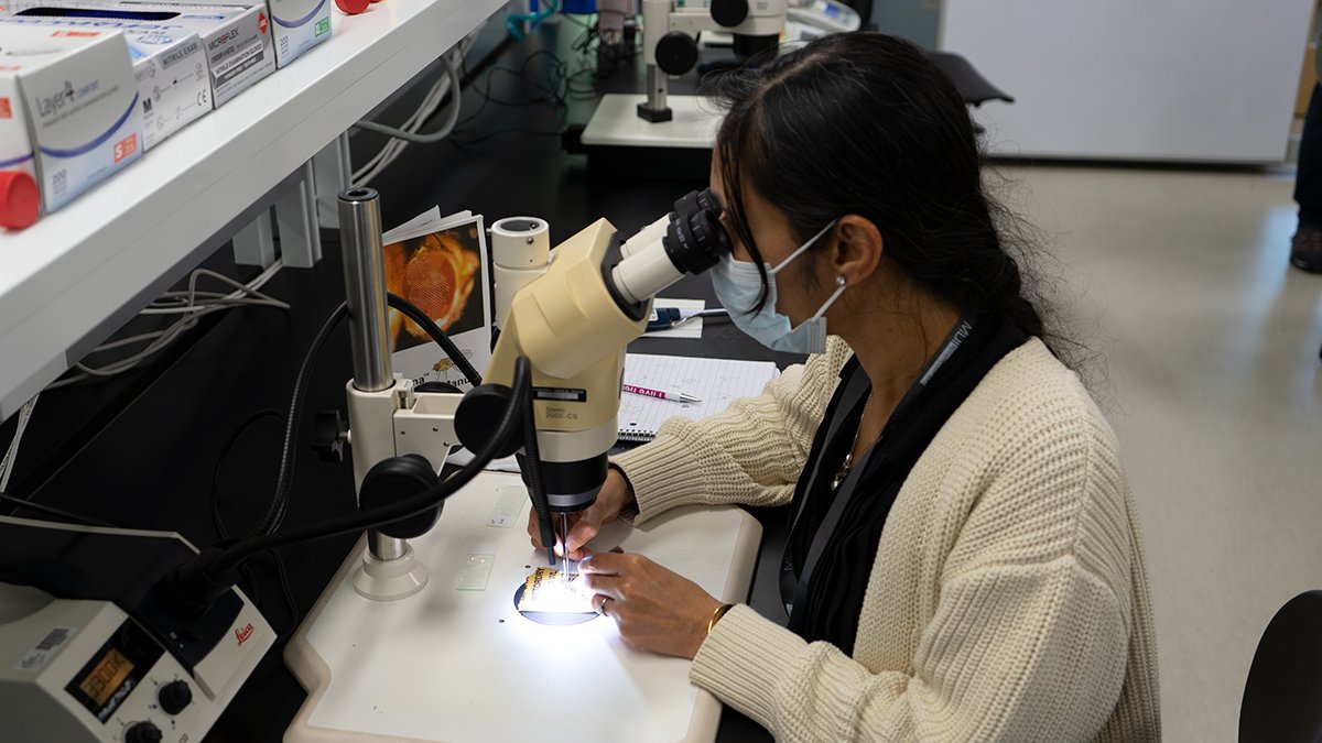 ASNKidney's tweet photo. Ready for a hands-on experience in #nephrology? Apply to the 2023 Kidney TREKS Program to explore @MDIBL in Bar Harbor, Maine, or @UChicago in Chicago, Illinois. Get started: https://t.co/8l2uB7C1Kt

Photo credit: Arvin Halim

#MedTwitter #MedStudent #STEM https://t.co/ruHaMDkZlS