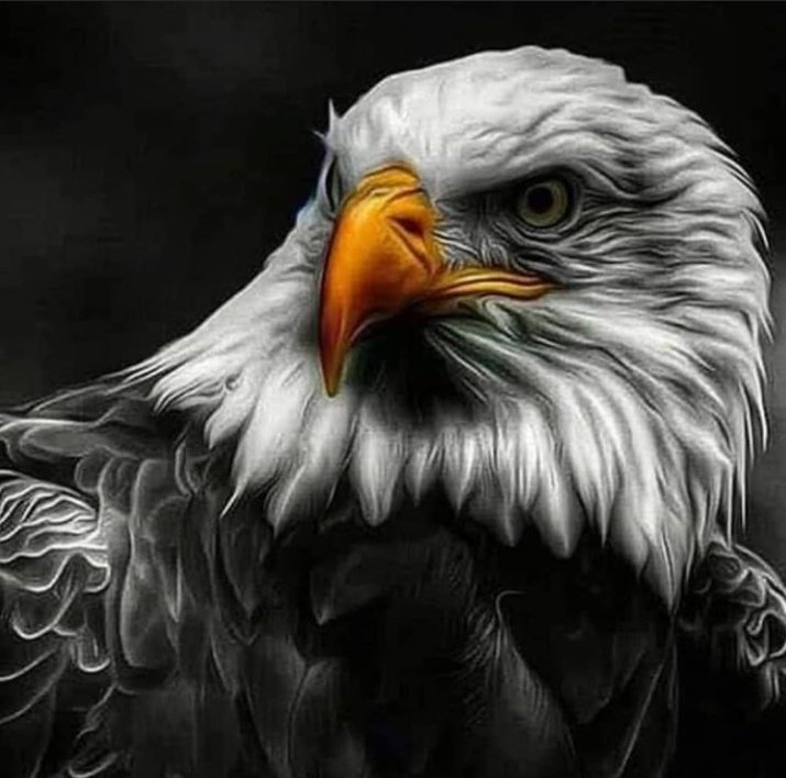 MKABJK2's tweet photo. Aşkın saati 19:03

Sadece BEŞİKTAŞ https://t.co/zIYMJLDMR5