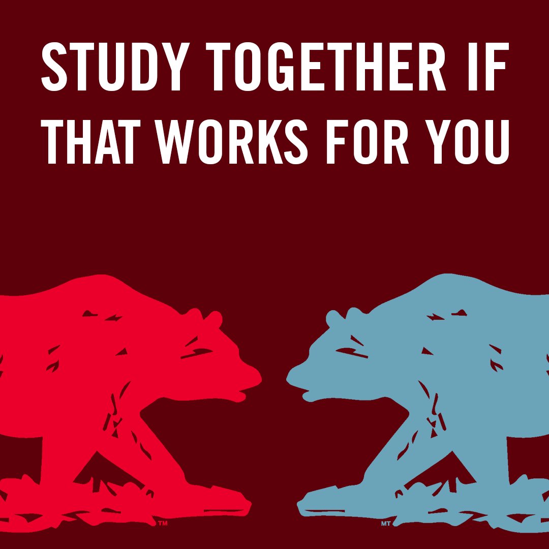 Having a study partner can be extremely helpful for a lot of people. Just make sure you stay focused.