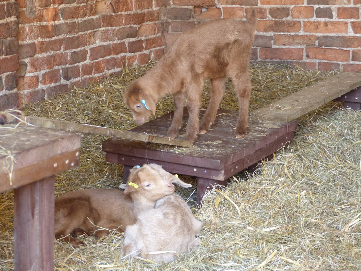 Leeds Parks tweet media