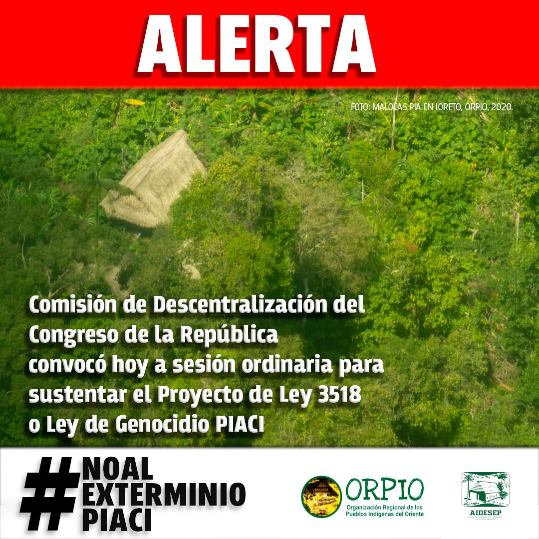 Orpioloreto's tweet photo. 🚨 #Alerta Congreso de la República aprovecha el caos y busca aprobar el nefasto proyecto de ley N 3518 o Ley que modifica la Ley #PIACI. Con esto desconoce los derechos de los pueblos indígenas en aislamiento y extinguir las Reservas Indígenas. https://t.co/D1WHYbwigB