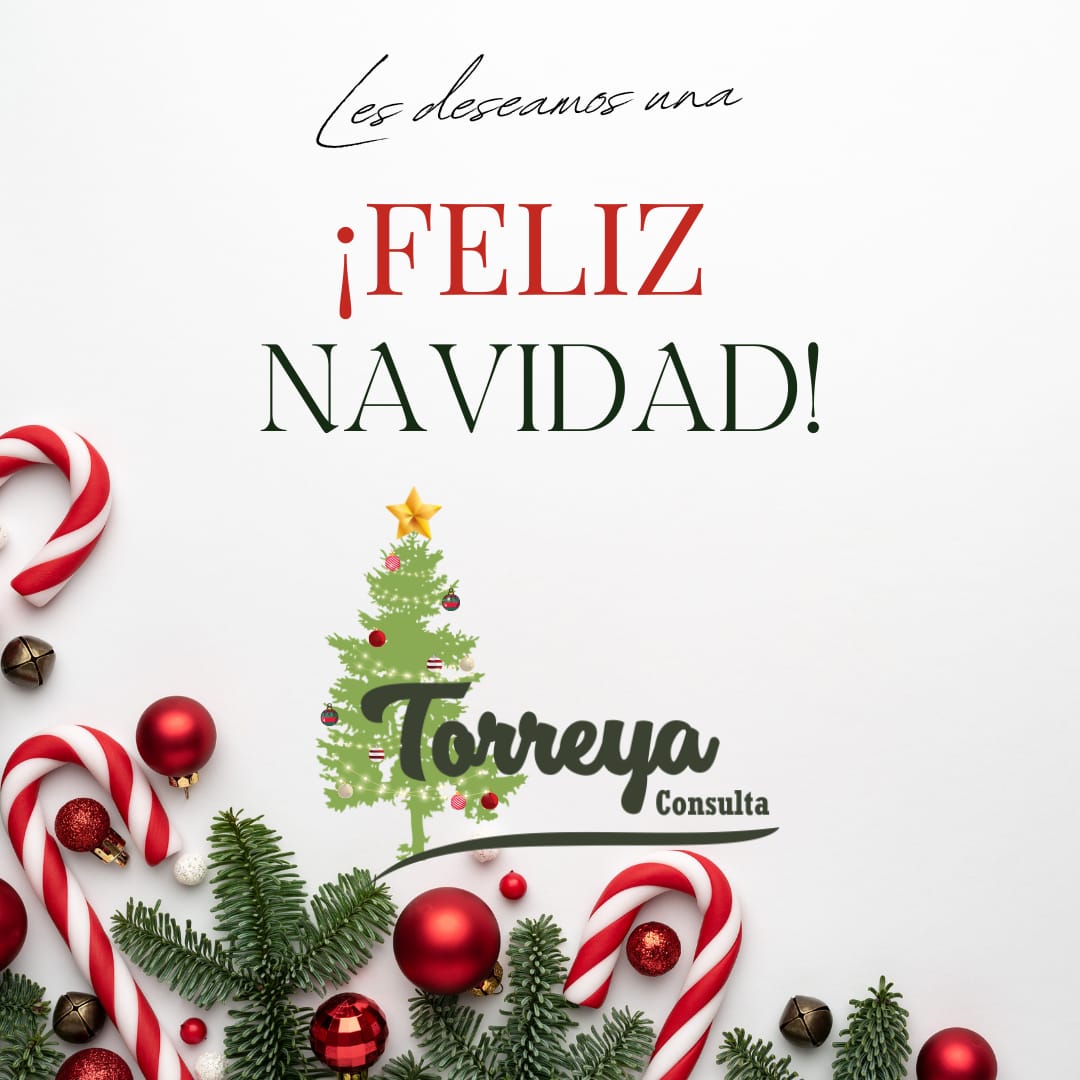 En <a href="/TorreyaConsulta/">TorreyaConsulta</a> le deseamos a todos nuestros clientes, proveedores y colaboradores una muy Feliz Navidad en familia y un extraordinario año 2023.