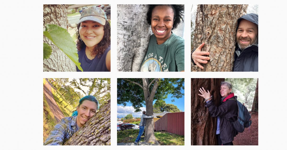 SempervirensFnd's tweet photo. #22of22 8: Together, we celebrated trees around the world! On #EarthDay2022, we set a GUINNESS WORLD RECORDS® title for the #HugATreeChallenge: https://t.co/BsQ1cCvFz1 @rei donated $10k to celebrate. We’re celebrating our top 22 together in 2022. #Redwoods #SantaCruzMountains https://t.co/43dQ2Vhj5B