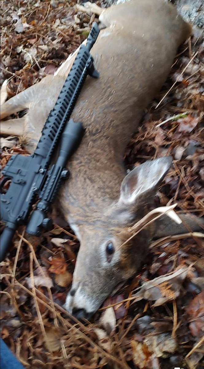 Sft2Tactical's tweet photo. "I’ve been following you on Facebook and received one of the 3 piece scopes after requesting it for Christmas last year. This year I bought another 3 piece scope ... for my son for Christmas. Thanks for providing quality product at a fair price." Verified SFT2 Customer https://t.co/rZ0vBREbIM