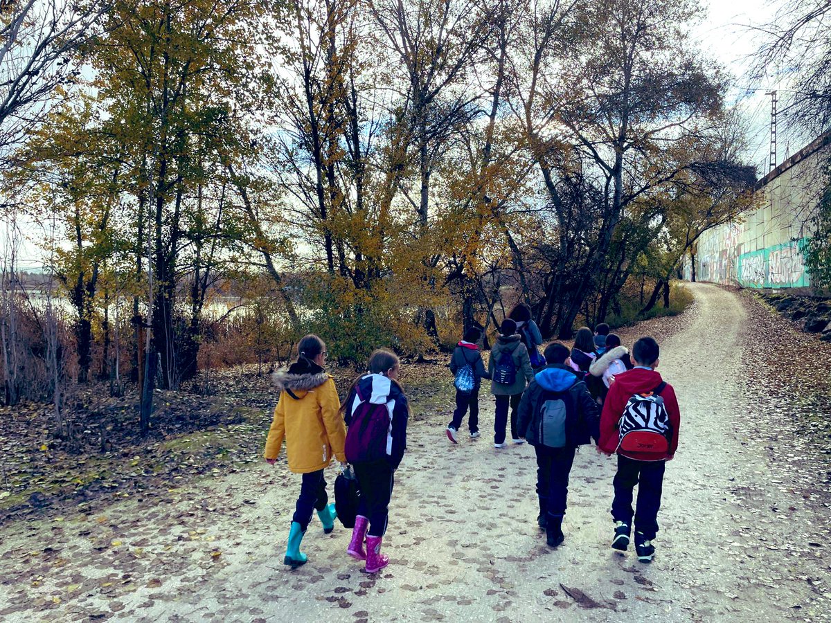 cp_sdomingo's tweet photo. @CENTROCAMPILLO Y por fin… escampó. Visita ambiental de nuestro alumnado de 3º de Primaria a la Laguna del Campillo. 😍🍁🍂🌲🪱@CENTROCAMPILLO https://t.co/Pmc8BneBRa