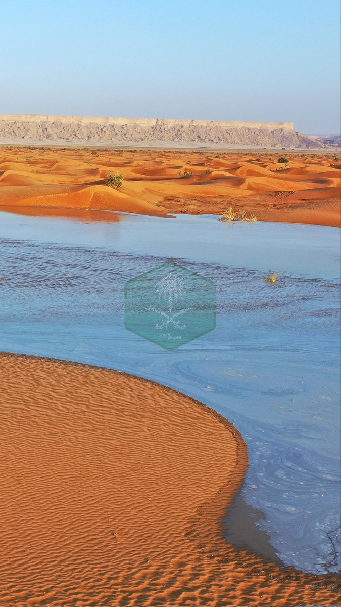 Saudi News FR on Twitter "Ces photos ont bien été prises en plein