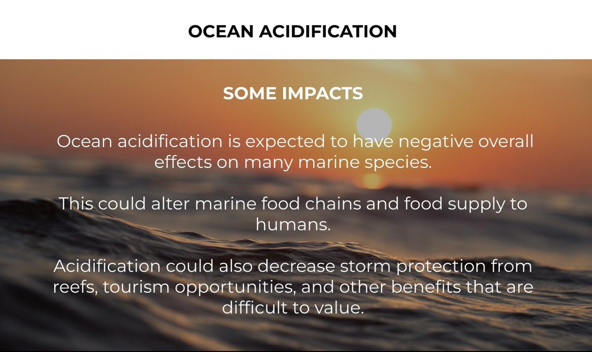 Ocean Acidification is a major cause of coral reefs bleaching. When the ocean absorbs carbon emissions from human activities, it becomes more acidic. Catch out some damaging umaots below.

#YouthLeadSDG14 #BlueCharter <a href="/ComSecYouth/">Commonwealth Youth</a> <a href="/CYCNOfficial/">Commonwealth Youth Climate Change Network</a> <a href="/commonwealthsec/">The Commonwealth</a>