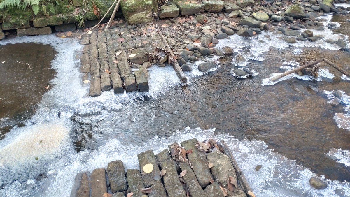 Jonathan Grey tweet media