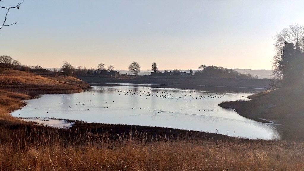 Jonathan Grey tweet media