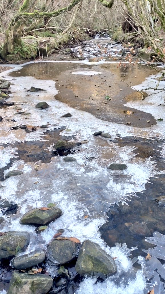 Jonathan Grey tweet media