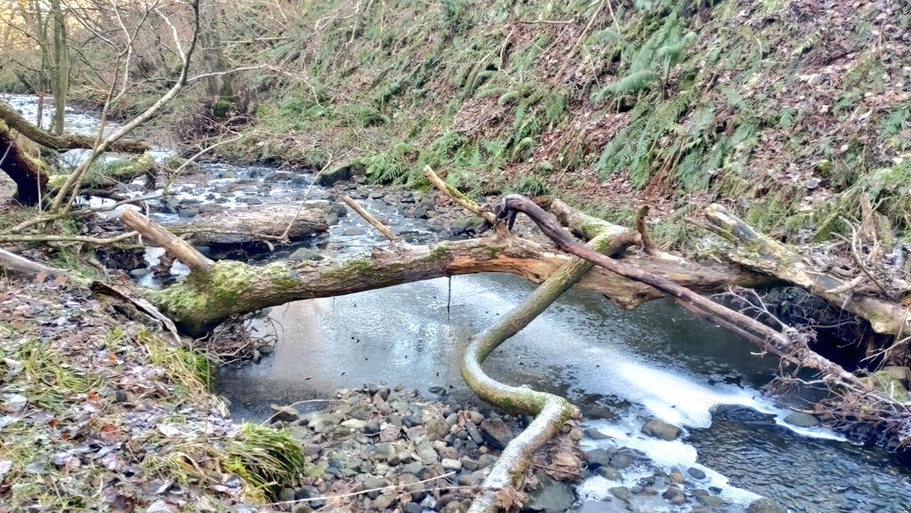 Jonathan Grey tweet media