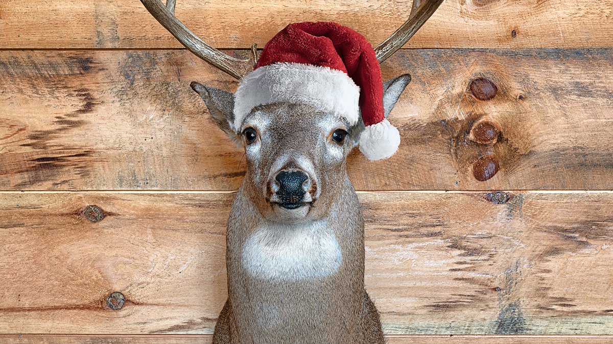 TheOnion's tweet photo. Restaurant Puts Fun Little Santa Hat On Severed Head Of Animal That Screamed When It Died https://t.co/e10st0wzNw https://t.co/3GtF8UyV1M