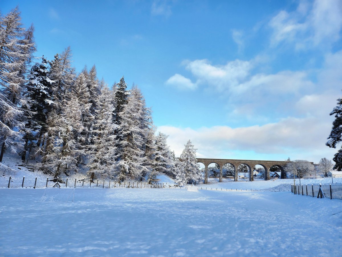 Absolutely beautiful at Strathdearn this morning. Lovely to have our parents and carers in today for a wee sing song around the tree.🎄
#WinterWonderland #RuralHT #ChristmasSinging