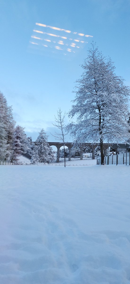 StrathdearnPS tweet media