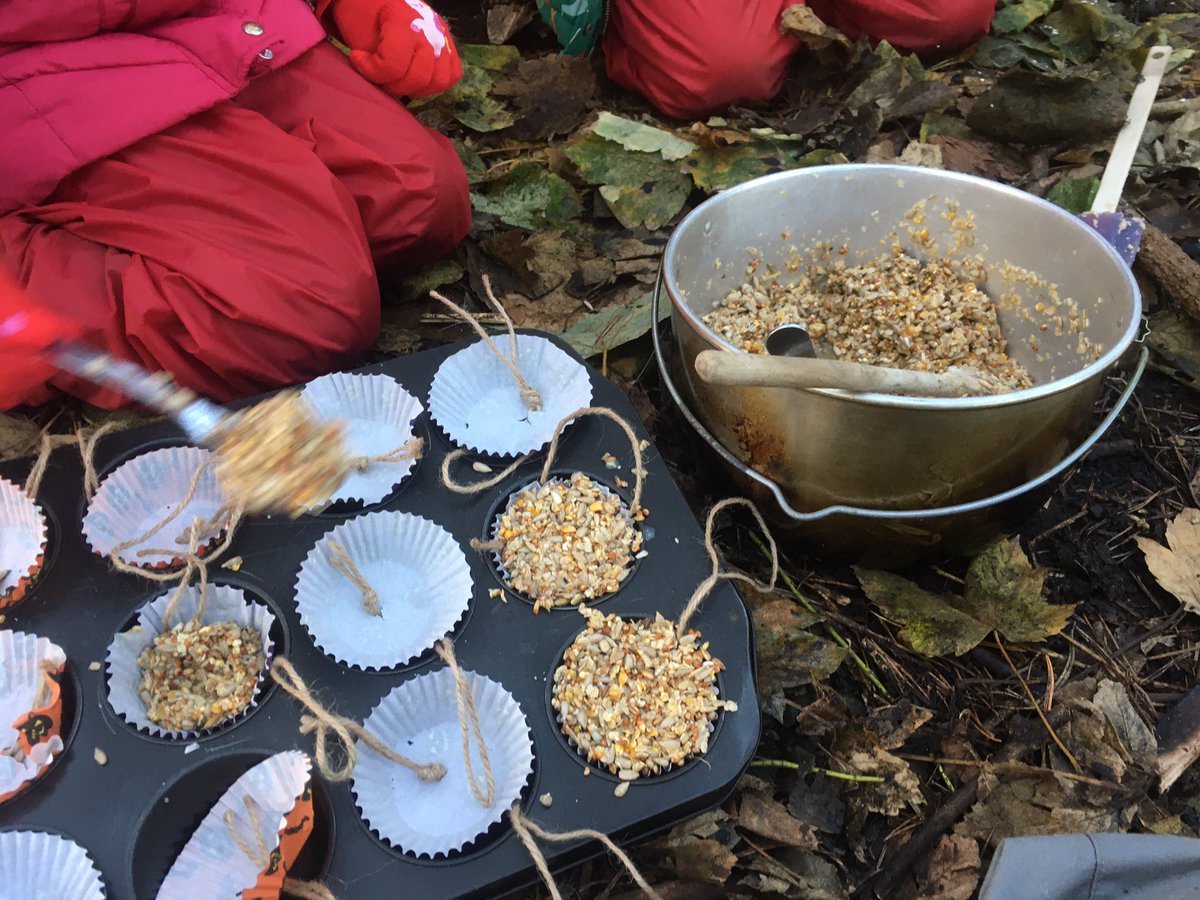 dpsforestschool tweet media