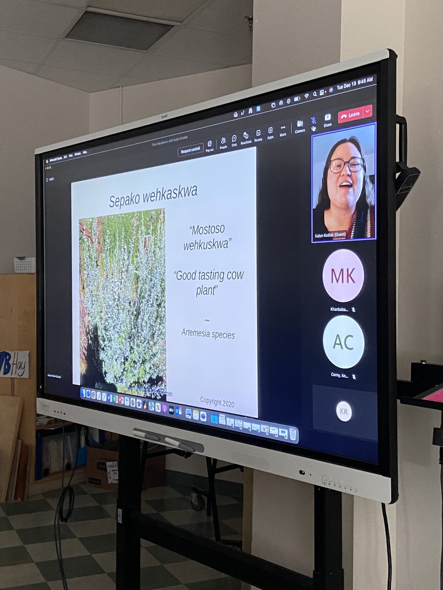 MsRiebot's tweet photo. Gratitude to Kalyn Kodiak for sharing knowledge about our relatives with roots and lii Bonn Michinn with grade 7 students. We’re connecting this learning to our plant study. 🌱 #CBEIndigenousEd https://t.co/m4ALRXRM4U
