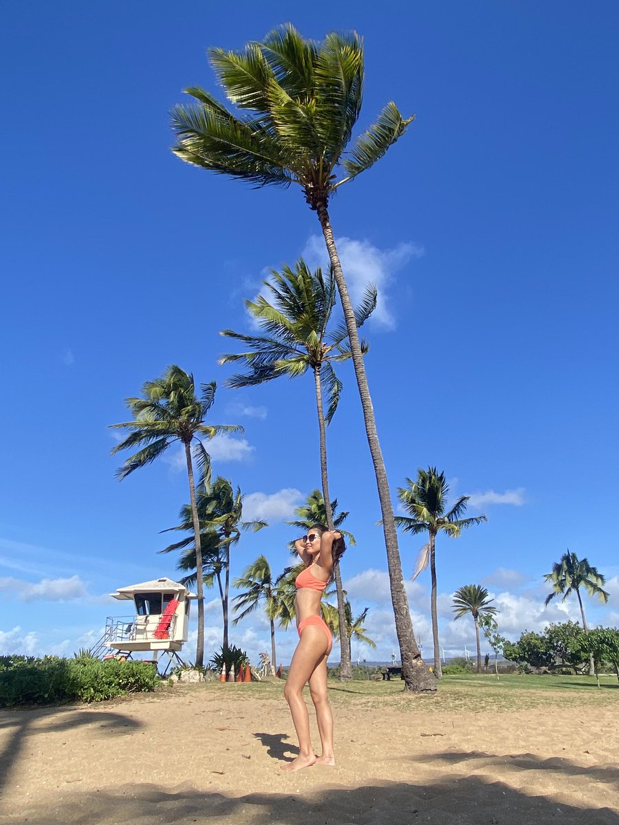 d_yuncoro's tweet photo. 生きてます。in Hawaii https://t.co/sp5QUZjlLk