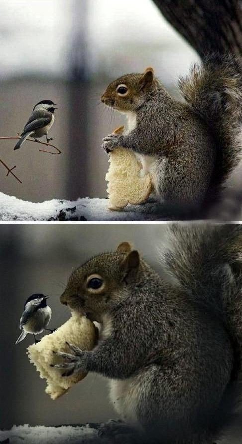 Tommy Robert Lancaster tweet media