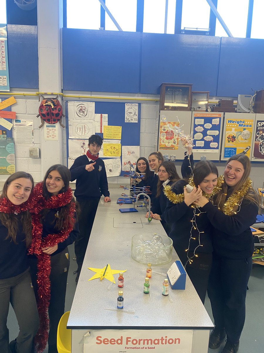 CMCOscience's tweet photo. 5th Year chemistry students making our annual #Chemistree today @colmhuirecoed https://t.co/eudJKL50ih