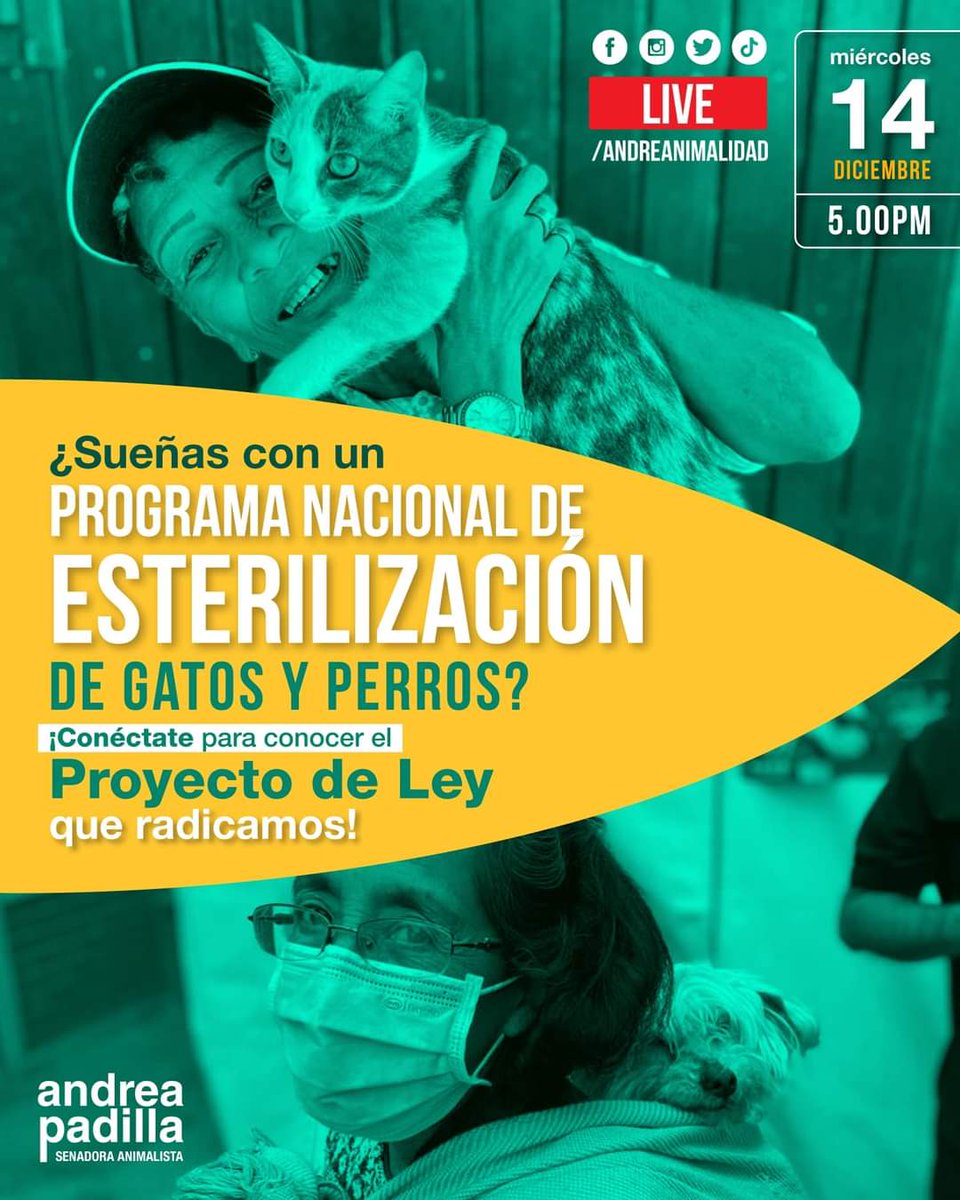 El en vivo es hoy a las 5pm! ¡Vamos por un programa nacional de esterilización! #LeyEsterilizarSalva
<a href="/DMininos/">dulces mininos</a>  vamos todas a conectarnos!!!