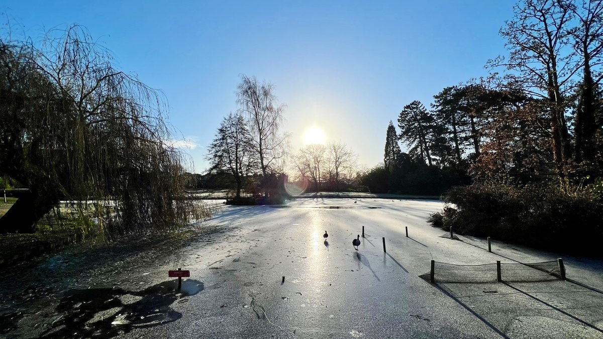 The University of York looking like something of a Winter wonderland this morning. <a href="/UniOfYork/">University of York</a> <a href="/UoyGrounds/">uoy_grounds_and_gardens</a>