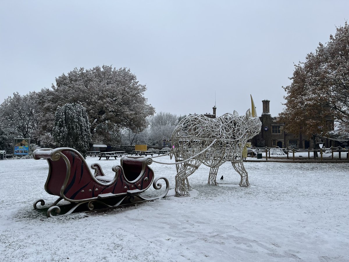 Chessington World of Adventures Resort tweet media