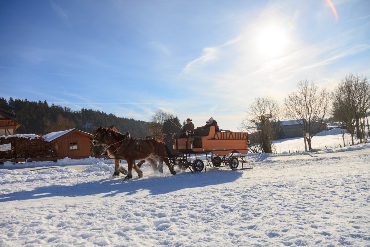 unterwegsR's tweet photo. Im Herzen des #Hochsauerlandes liegt das #Städtchen #Medebach mit seinen neun #Fachwerkdörfern. Die
#Ferienregion, wird wegen seiner vielen #Sonnenstunden auch „#Sonnenseite des #Sauerlandes“ genannt.
Mehr dazu hier: https://t.co/njvX5BVuna
Text & Foto: Touristik Medebach https://t.co/2L9N0S3dZD