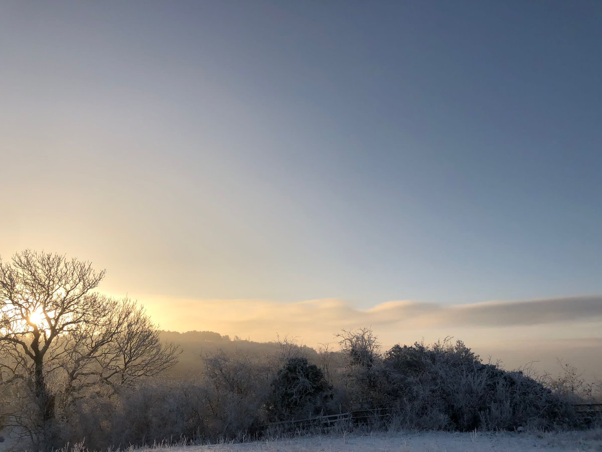 whridingschool's tweet photo. We really are in a winter wonderland with our early morning temperatures of -7 on the yard! ❄️🎄 Thanks to our hardworking staff, as it really is challenging in such cold temperatures, but it's for the love of our horses &amp; ponies. 🥰 

Seems like Magic enjoyed the view! 🐴❄️ https://t.co/o2HG4I8TwX