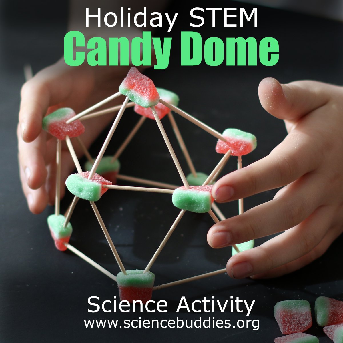 Science Buddies tweet media
