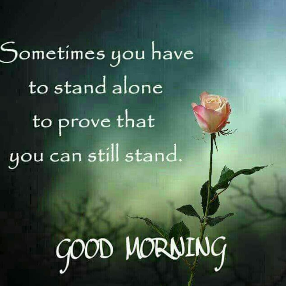 🟩 Good Morning Quotes with Coffee. DOWNLOAD our GOOD MORNING app 👉 bit.ly/MyGoodMorningA… 👈 #goodmorning #goodmorningquotes #goodmorningimages