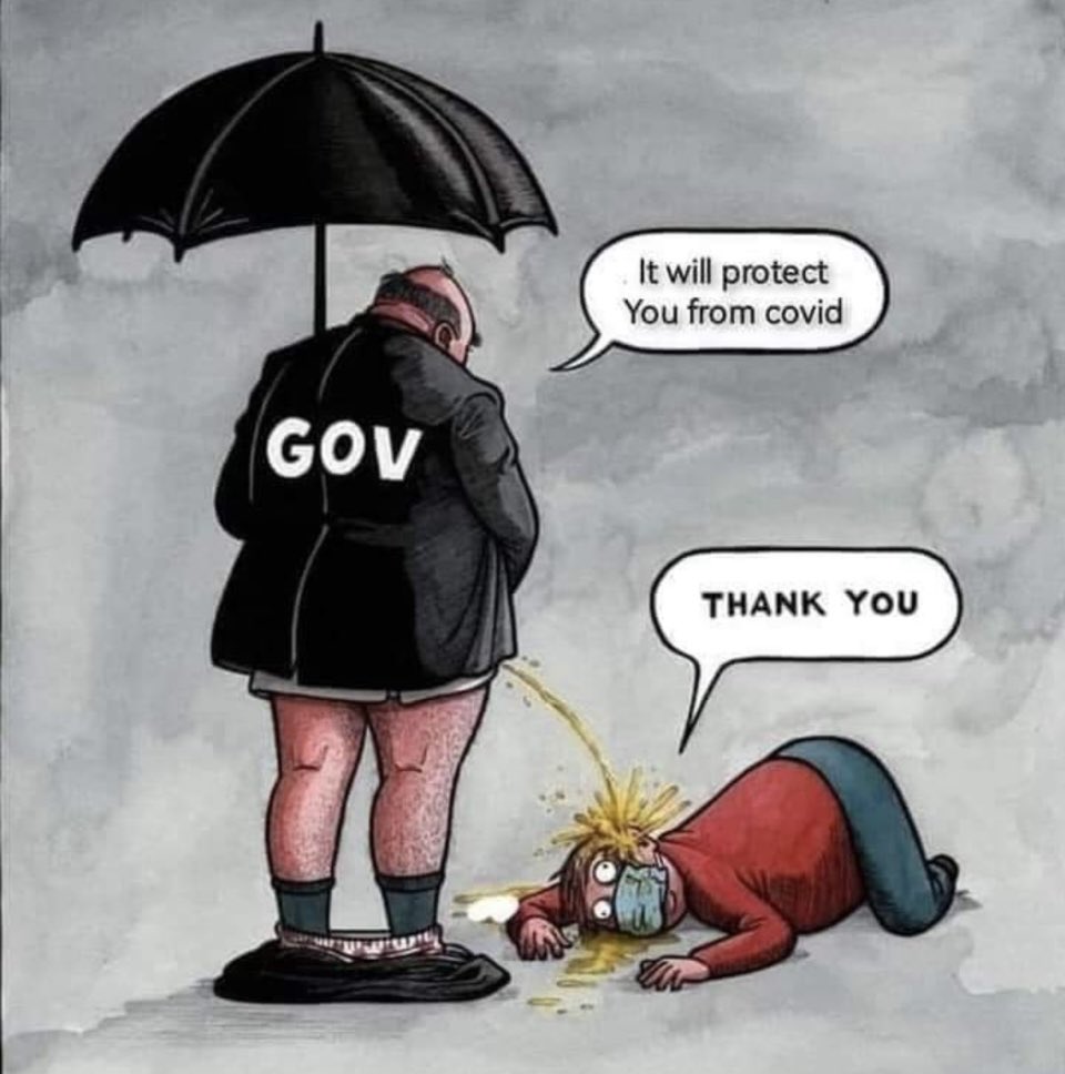 @DanooHana @backtolife_2023