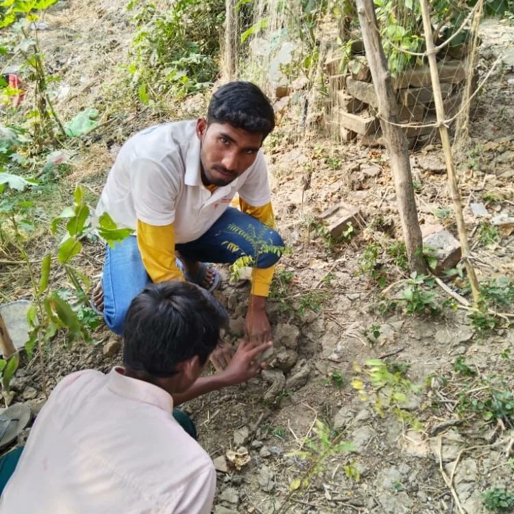 CallingGanga's tweet photo. #CatchTheRainCampaign
WII-NMCG Team organised a plantation drive at Sangam ghat of Gomati and Ganga in Patna village Gazipur. Plants were distributed to the villagers and the idea of water conservation was introduced to them. https://t.co/wZfkWsX0u1