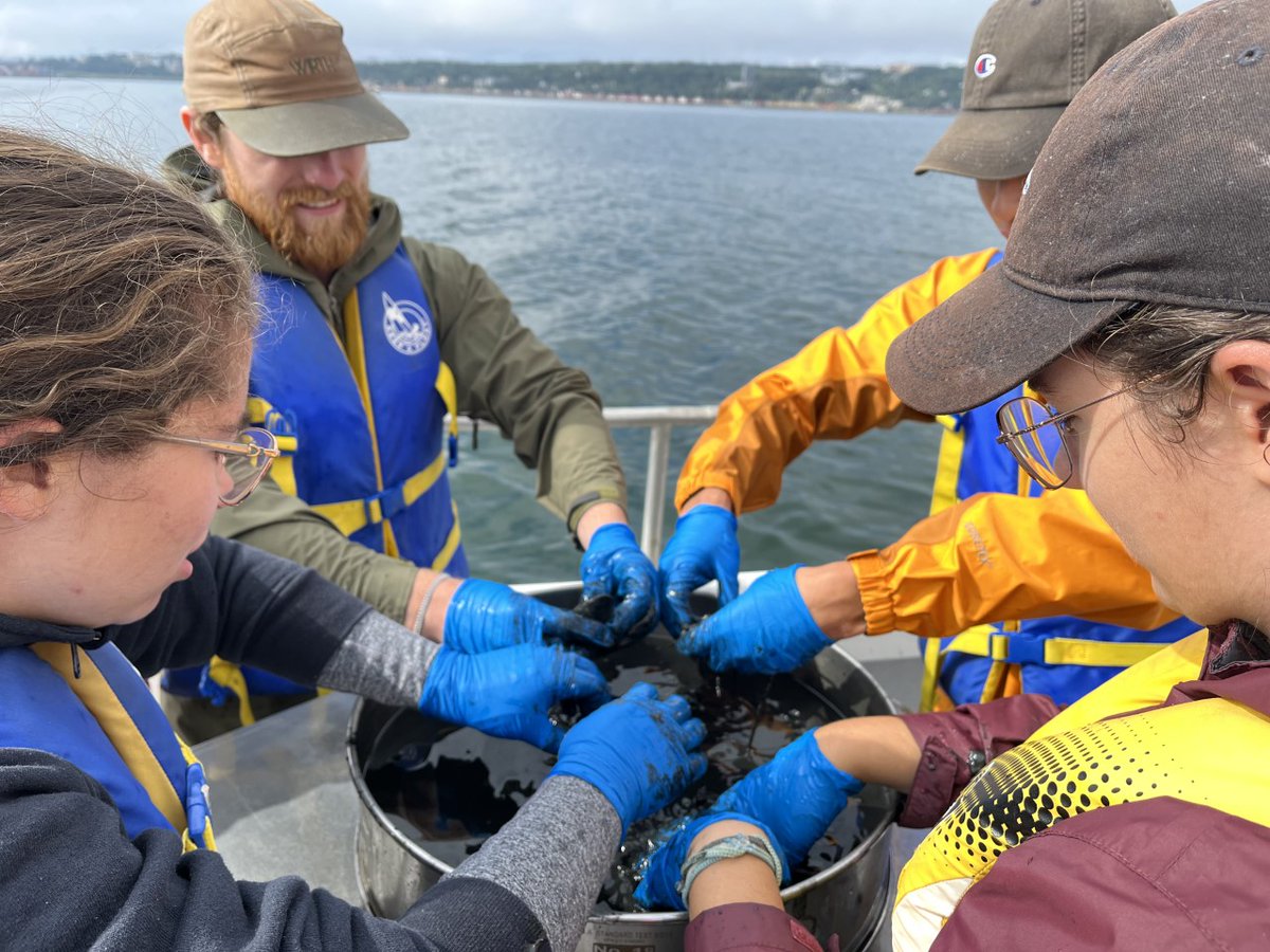 The summer 2023 schedule of <a href="/DalSEASIDE/">SEASIDE Dalhousie</a> field courses is now available, with online applications opening on Jan. 16: bit.ly/3YnzHGn

See all the ways you can get out in the field this summer and apply the knowledge gained in classrooms and labs! 🌱🦈🤿