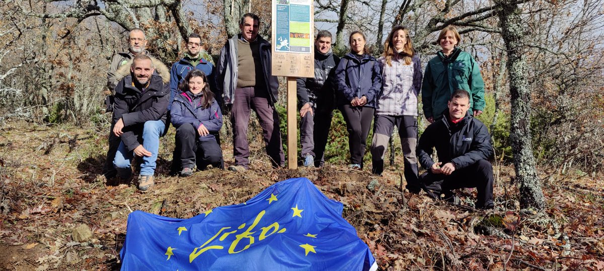 FCesefor's tweet photo. El grupo @LifeRebollo continúa su reunión en #Soria visitando los rodales demostrativos de la provincia
@jcyl @UVa_es @fungeuva @PEFCSpain @FSC_Spain @aeimmadera @maderasvaronars @GrupoGamiz #ToneleriaIntona https://t.co/Ar6ugHL2aR