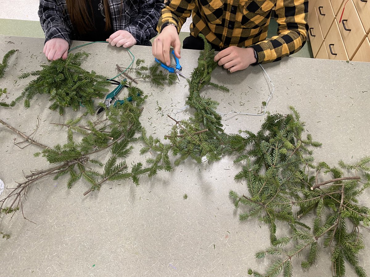 Herkimer_Ag's tweet photo. Best time of year in the AG room! This year @HerkimerCSD #students are making wreaths and centerpieces for our Holiday Ag Shoppe! Can’t wait to see all the beautiful creations! #wreaths #agriculture #highschool #middleschool #AgTeacher https://t.co/87G1YNtFhE