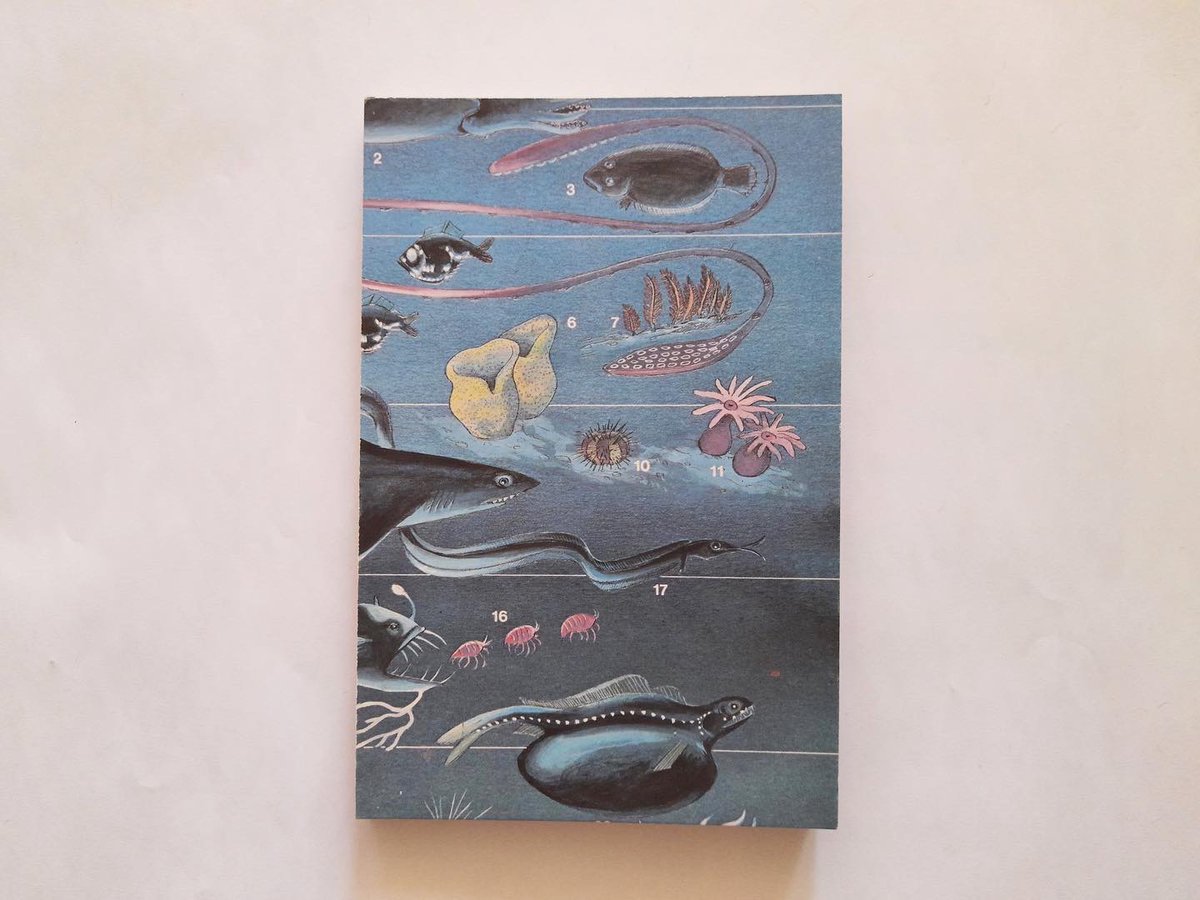 chepitamonroe's tweet photo. Miren las bellezas que son estos cuadernos forrados con enciclopedias antiguas. Lo que más quiero es que tengan dueñx así que porfi RT 🙏🏼 https://t.co/ElZJNHcdb7