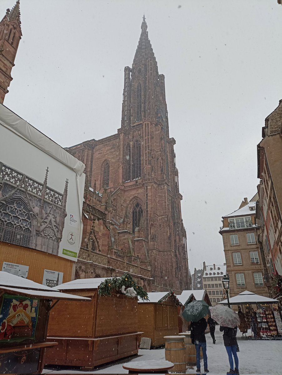 HDMeteo1's tweet photo. ❄️ La neige recouvre à présent #Strasbourg, merci @PaolaSD22 pour ces magnifiques images ! https://t.co/RPaO0aFVkZ