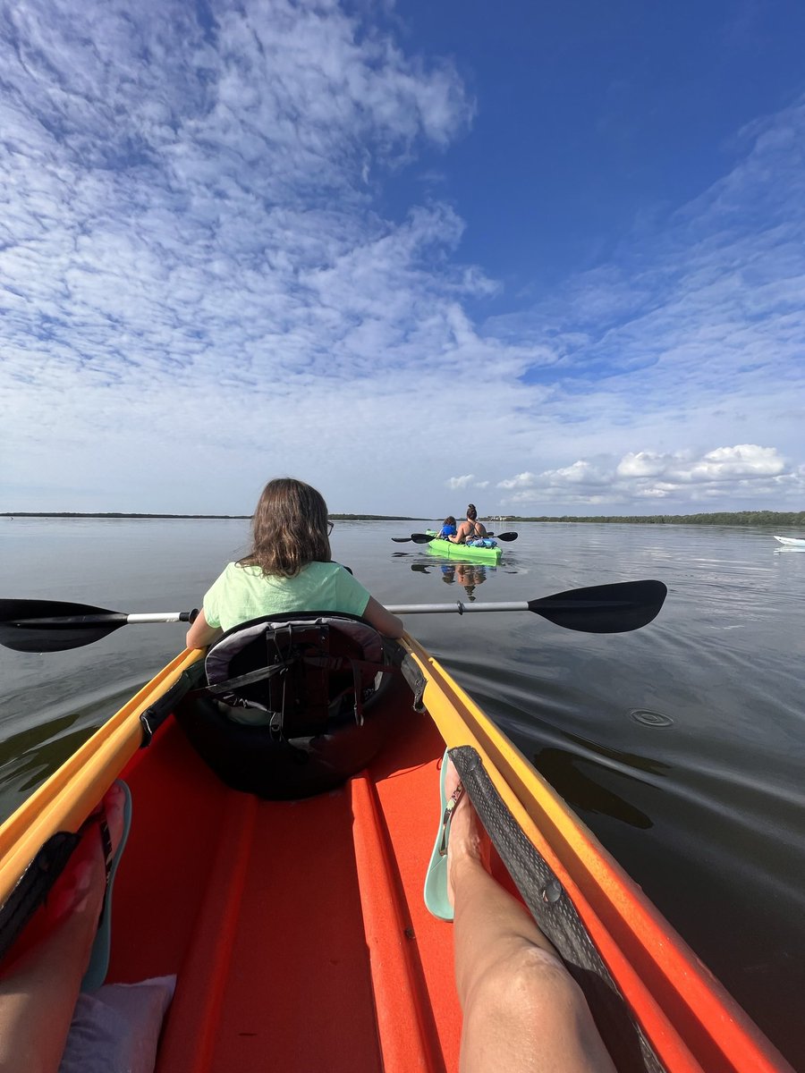 laurabraun1774's tweet photo. Paddling out to Shell Key. #shellkeypreserve #shellkey #florida https://t.co/lDoPzoSfdh