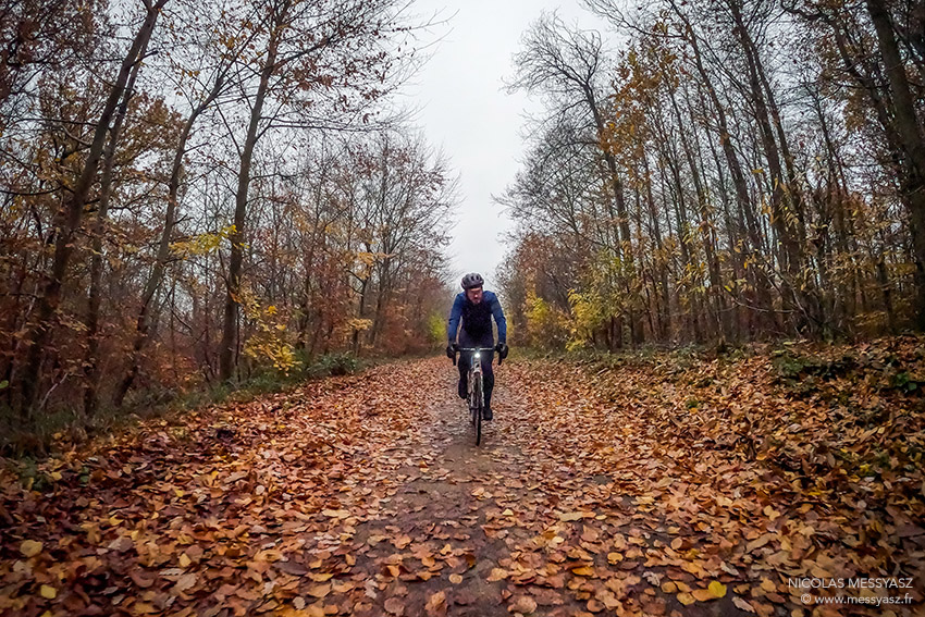 nicographie's tweet image. «John Rambouillet» La PHOTO du Jour du 4 décembre 2022 #LaPhotoDuJour #JournalPhoto messyasz.fr/FDJ/31677 #EaglesOnWheels #EOW #ARParis #Batignolles #InbatignollesWeTrust #velo #cycling #cyclisme #rambouillet #cyclingLife