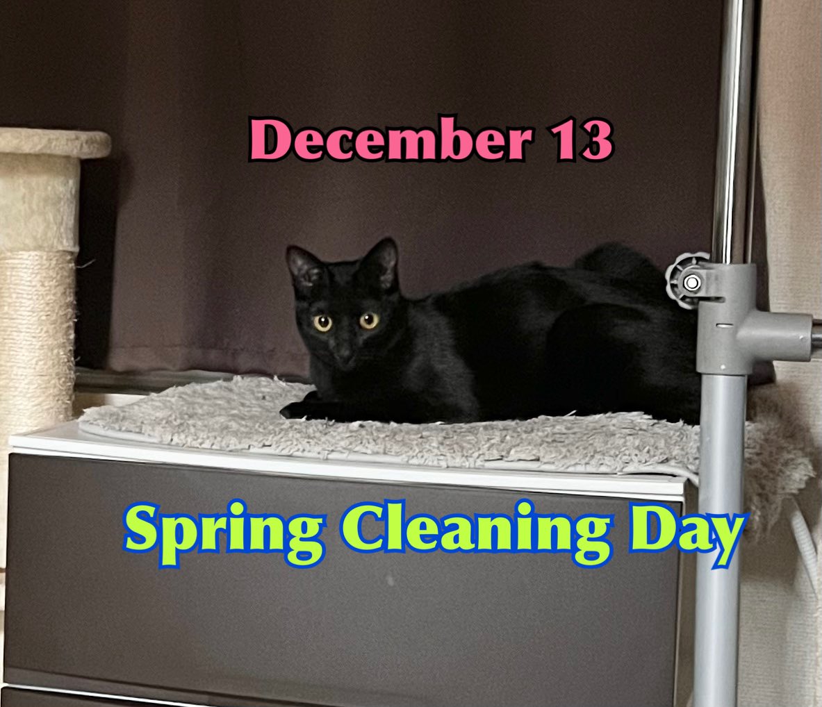 Mel09202020's tweet photo. December 13th is Spring Cleaning Day in Japan🧹
In Japan it is traditional to welcome the new year, by cleaning the house throroughly.
My mom still does spring cleaning in the springtime, though😹😻🧹🫧
#springcleaningday https://t.co/3CEYpHhRh7