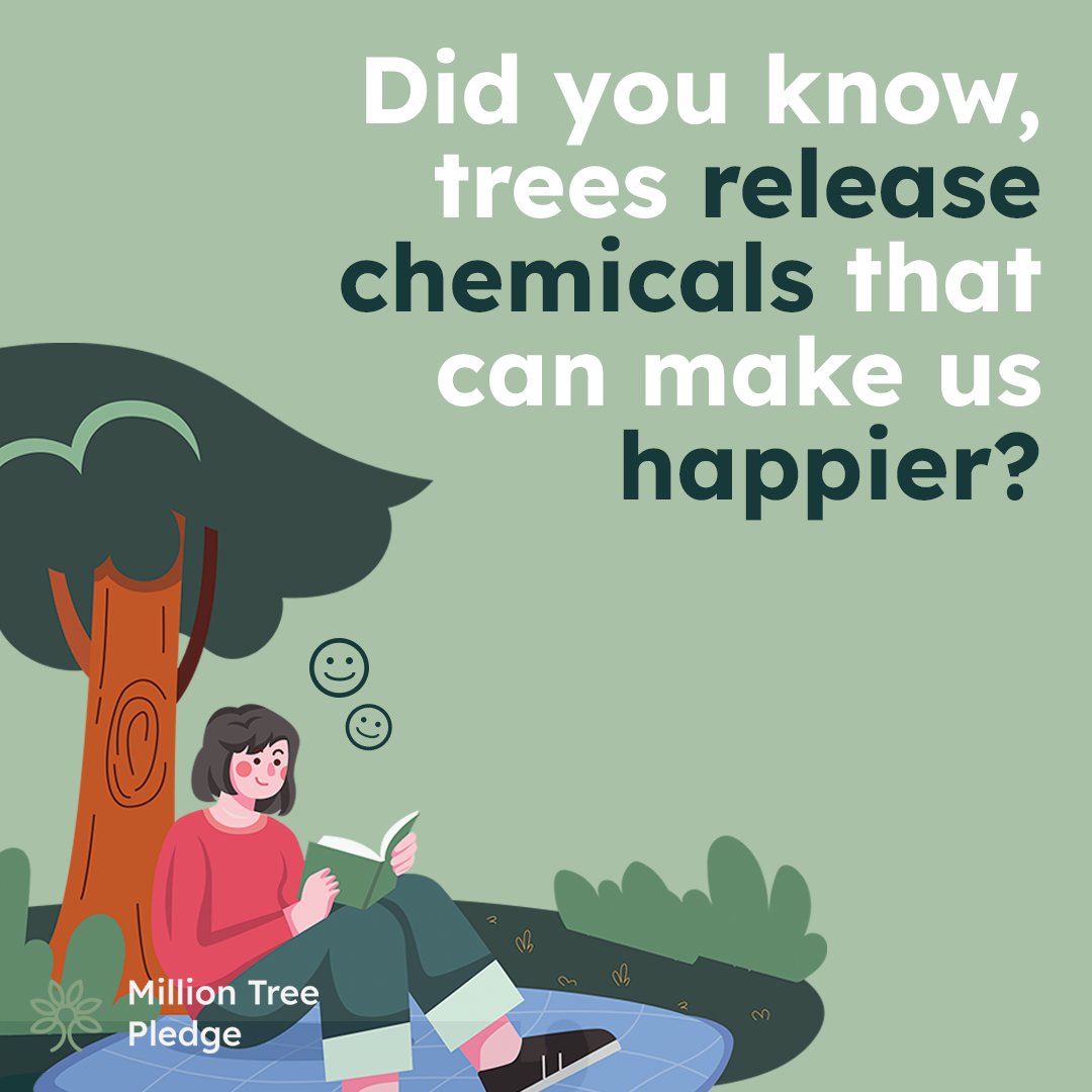 Trees release a chemical that boosts the immune system and decreases stress! 

Trees offer multiple health benefits, such as reducing allergy symptoms to increasing mental well-being and self-esteem. 

#milliontreepledge  #planttrees #climatechange #environment